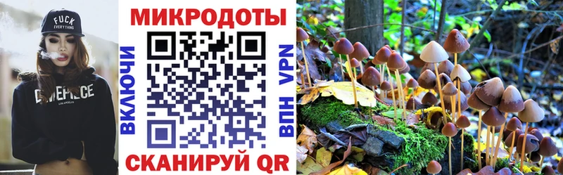 Галлюциногенные грибы прущие грибы  цена наркотик  omg ССЫЛКА  Острогожск 