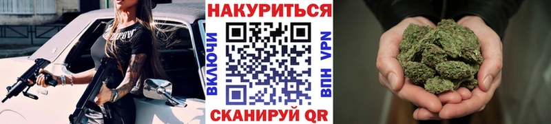 площадка как зайти  Острогожск  Шишки марихуана план 